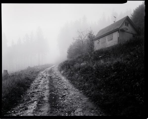 Nikde nikdo, jen mlhavé ticho.