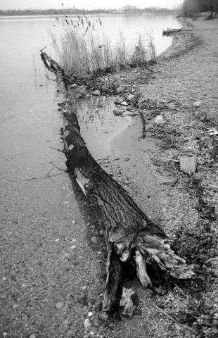 Po živote Po živote