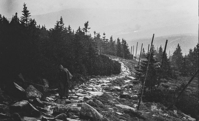 Back to hill Back to hill